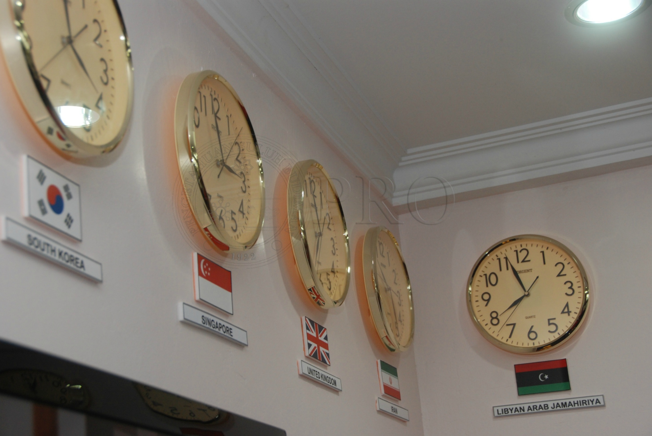 PRO 12 136 food DSC 9216